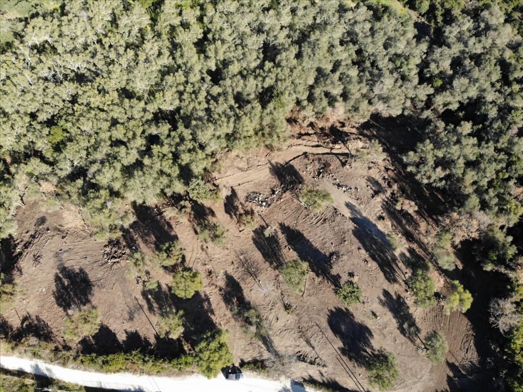 Terrain à Corfou, Grèce, 5 000 m² - image 5