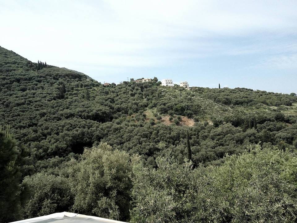 Land in Corfu, Greece, 17 000 m² - picture 5