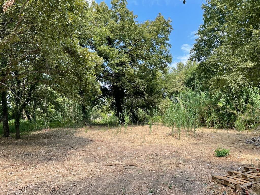 Land in Corfu, Greece, 4 850 m² - picture 5