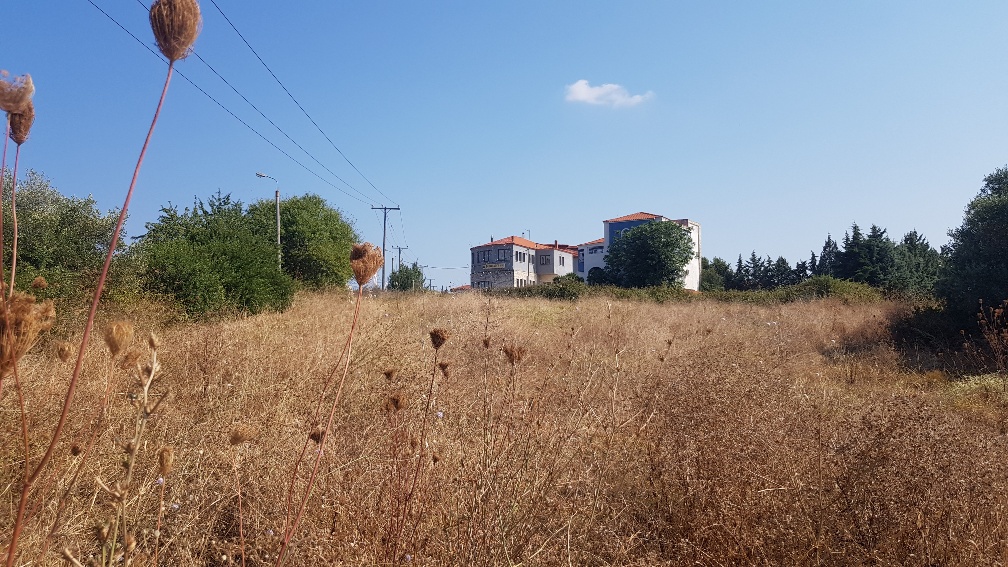 Land in Kassandra, Greece, 3 255 m² - picture 6