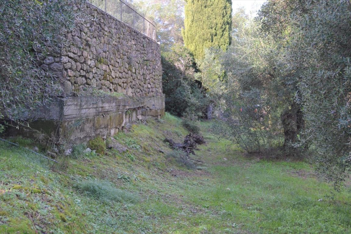 Terrain à Corfou, Grèce, 5 500 m² - image 6