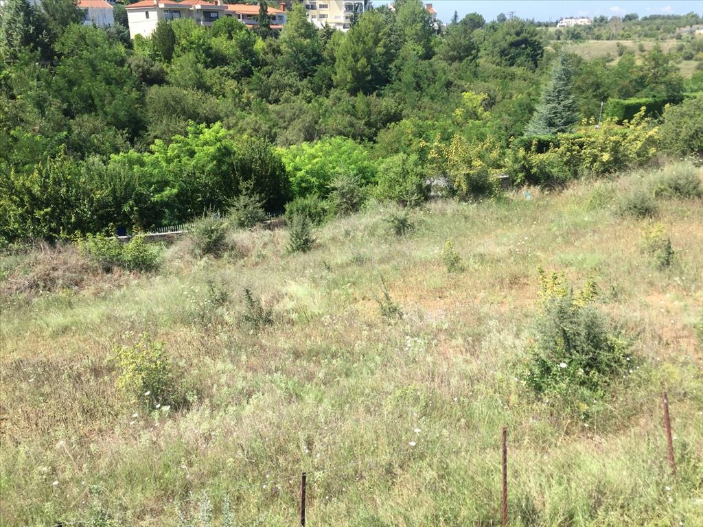Land in Thessaloniki, Greece, 2 500 m² - picture 6