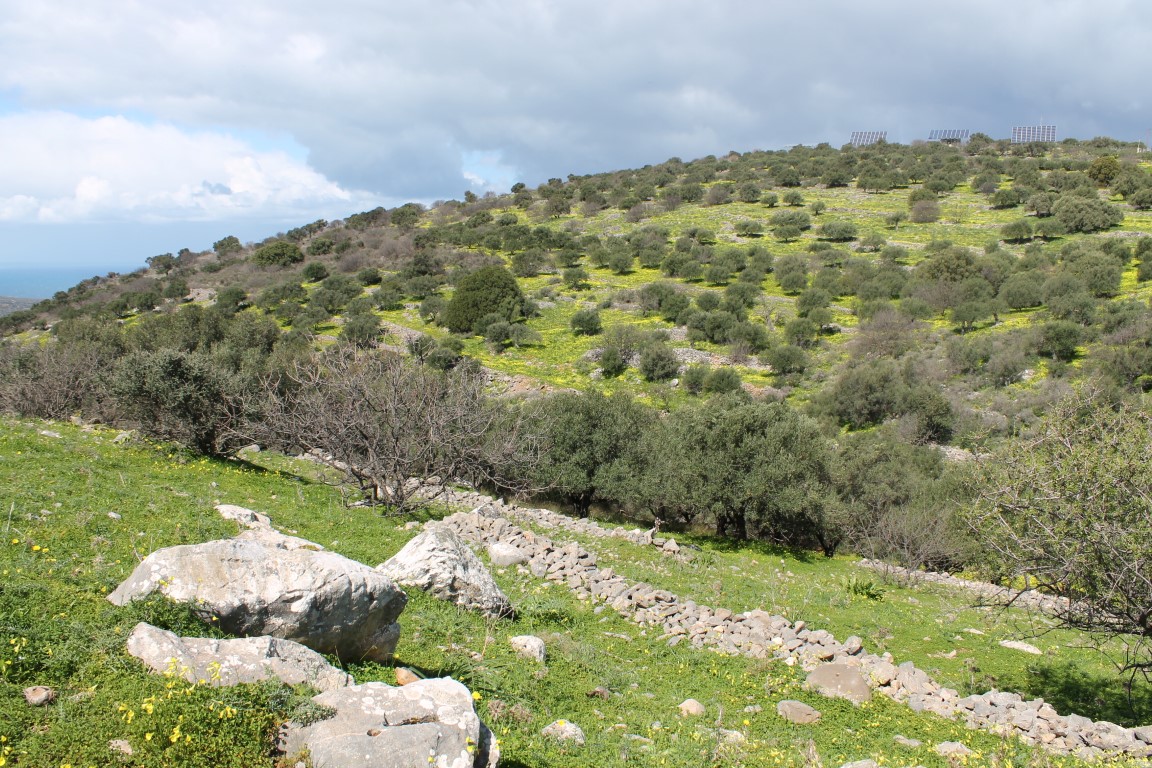 Terreno a Heraklion, Grecia, 10 800 m2 - foto 6