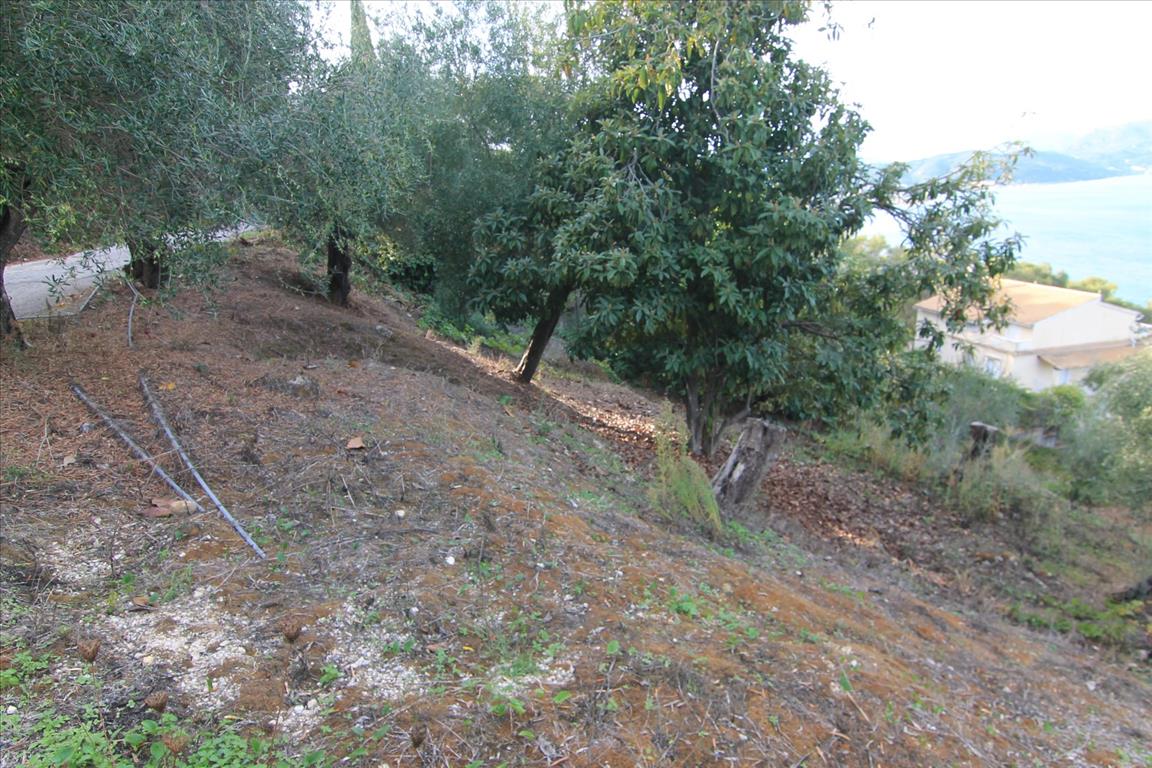 Land in Corfu, Greece, 2 306 m² - picture 6