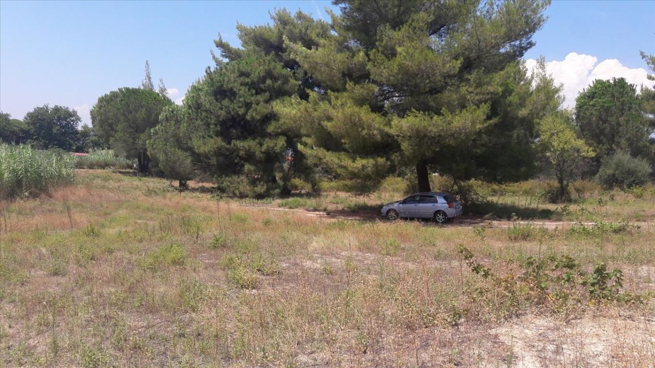 Land in Sithonia, Greece, 6 013 m² - picture 6