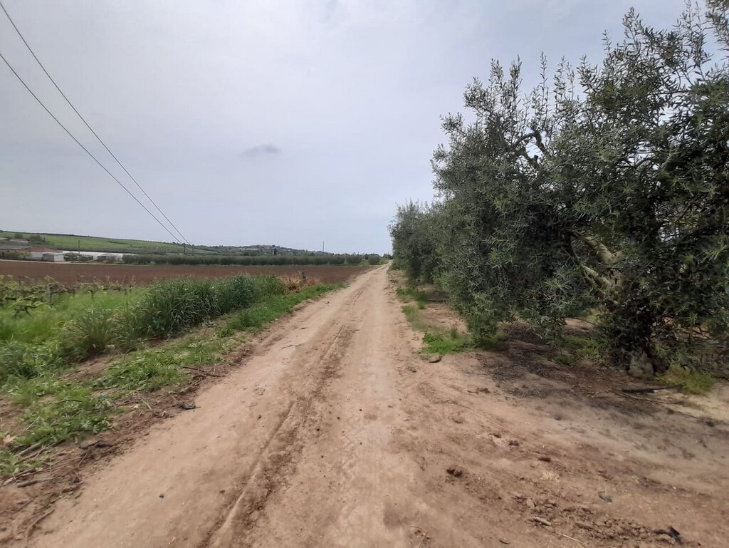 Terrain en Chalcidique, Grèce, 8 628 m² - image 6