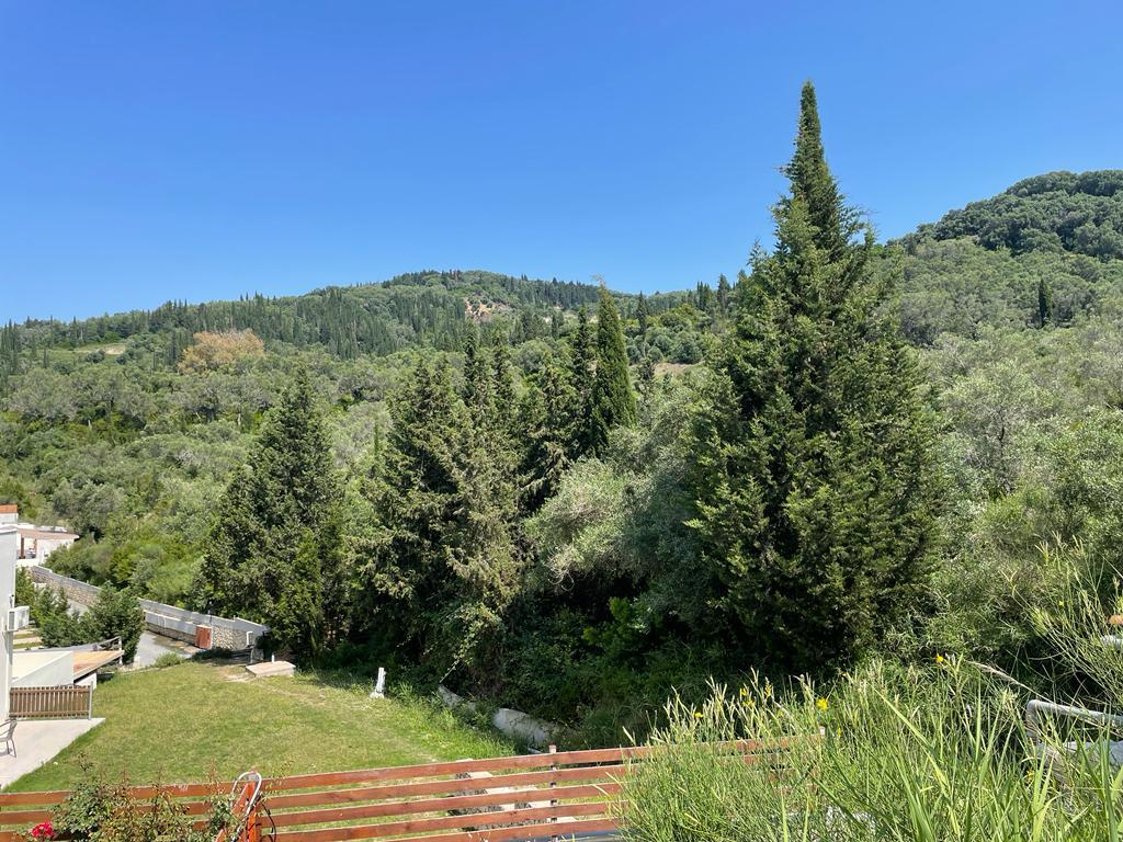 Land in Corfu, Greece, 10 025 m² - picture 6