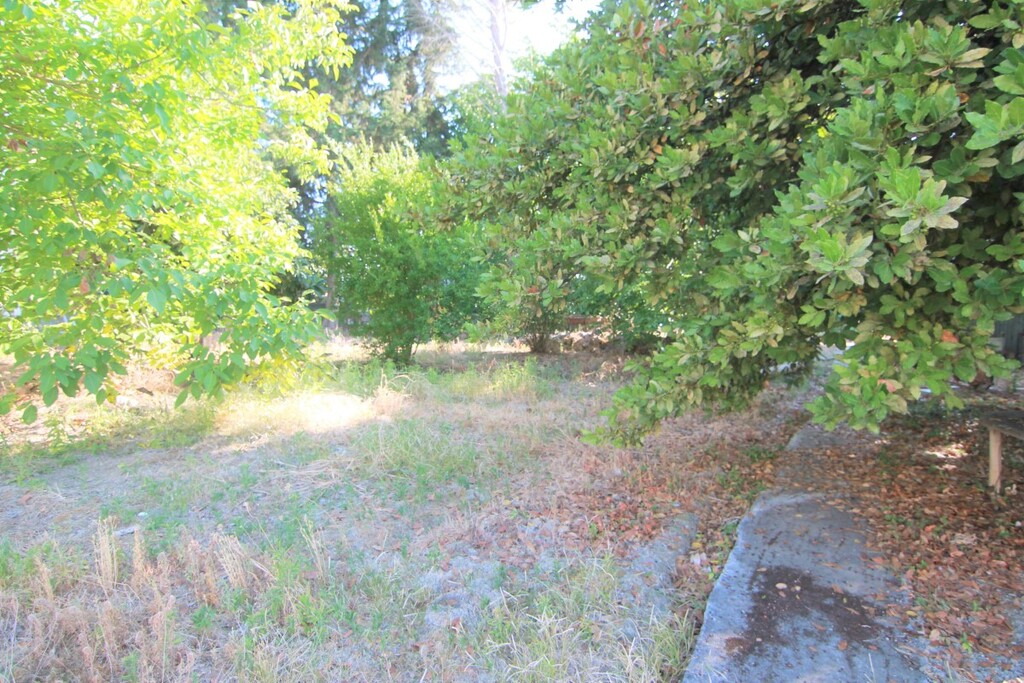 Land in Corfu, Greece, 1 342 m² - picture 6