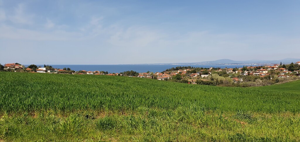Land in Kassandra, Greece, 10 500 m² - picture 6