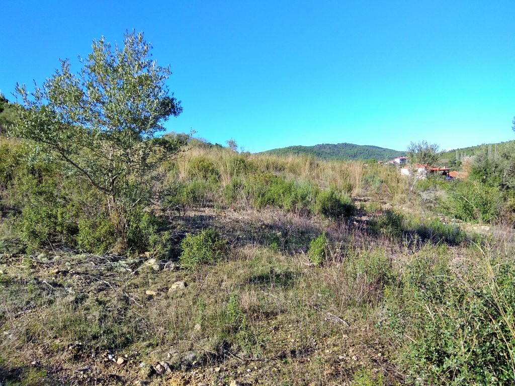 Terrain en Sithonie, Grèce, 36 000 m² - image 6