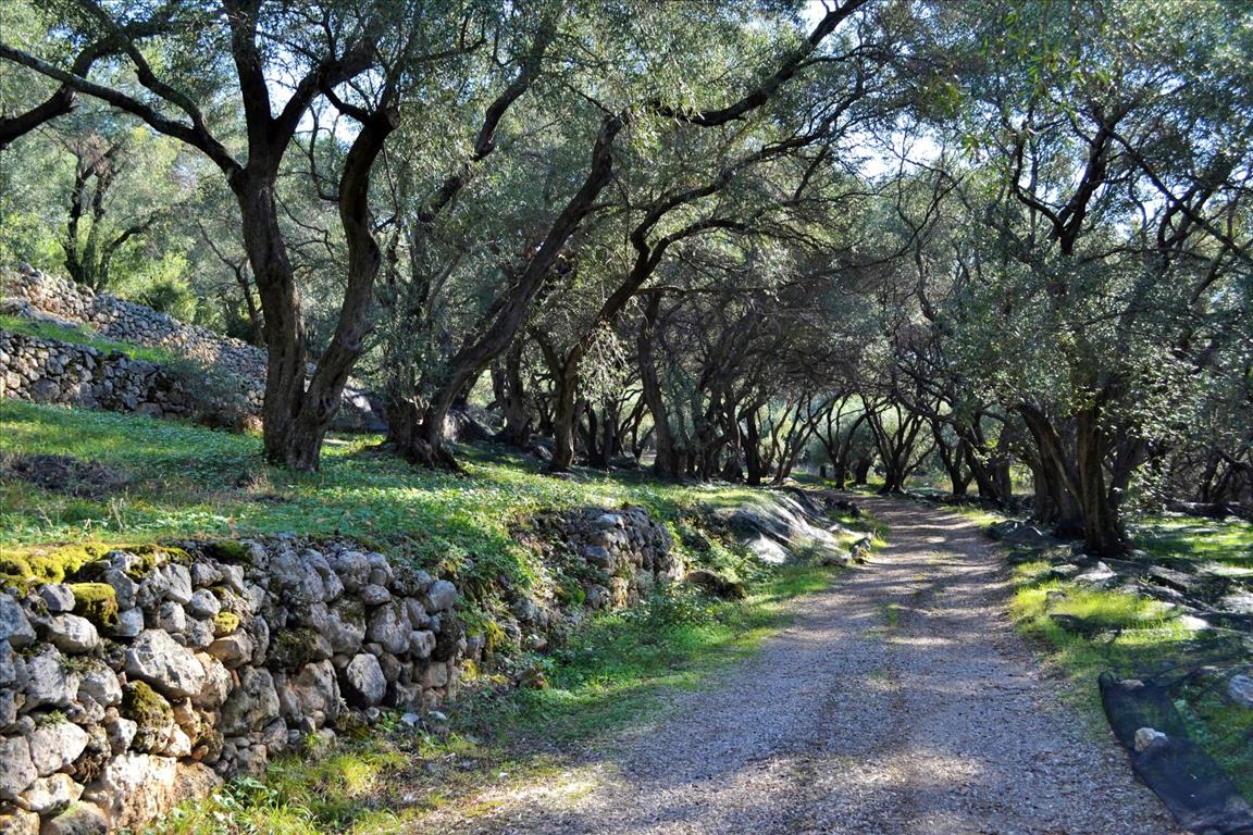 Terreno a Corfù, Grecia, 7 606 m2 - foto 6