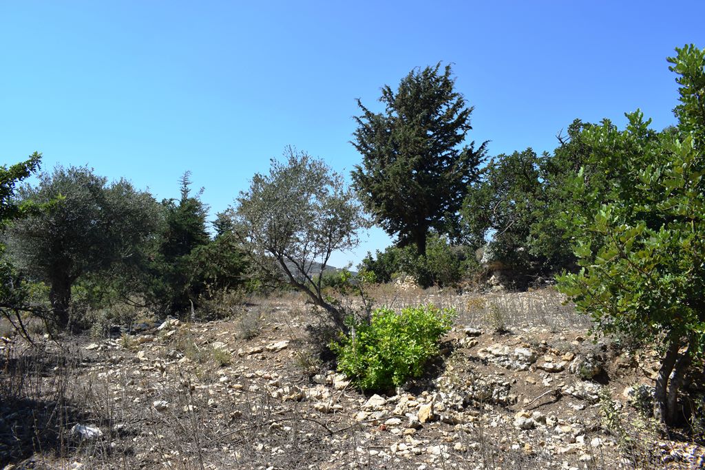 Terrain à Héraklion, Grèce, 11 000 m² - image 6