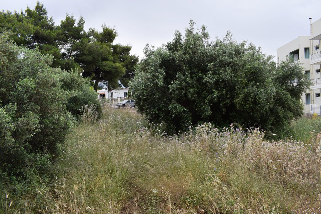 Terrain à Héraklion, Grèce, 392 m² - image 6