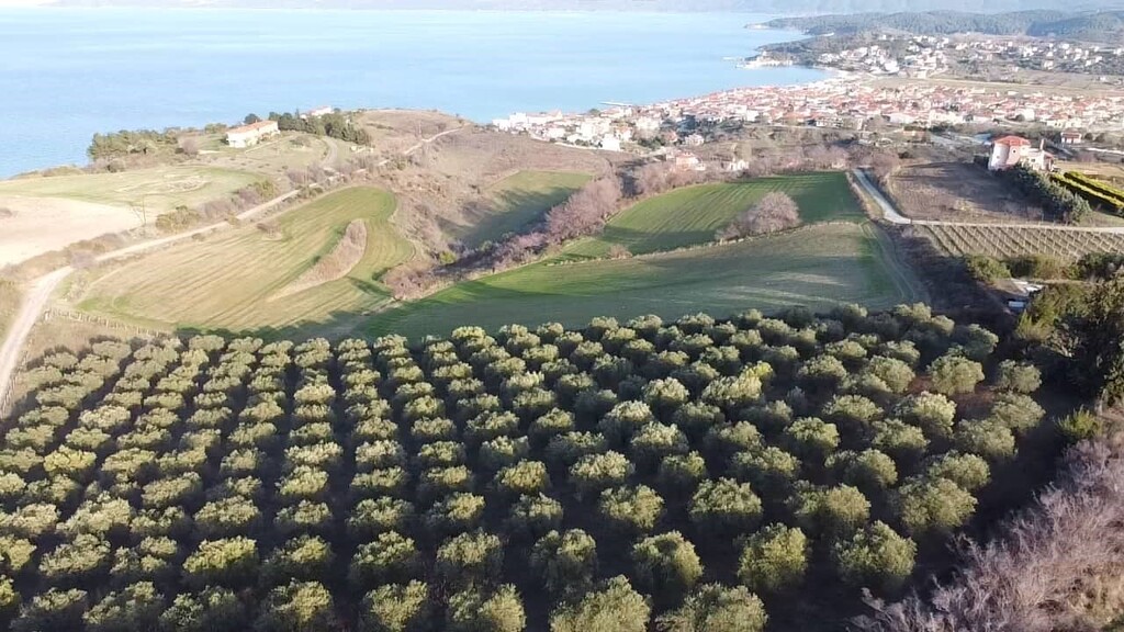 Terreno en Sitonia, Grecia, 5 625 m² - imagen 6