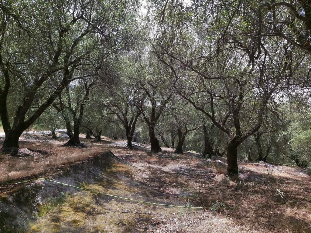 Grundstück in Korfu, Griechenland, 7 200 m² - Foto 6