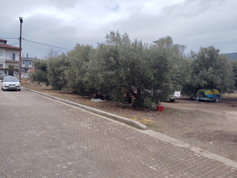 Terreno en Sitonia, Grecia, 1 305 m² - imagen 6