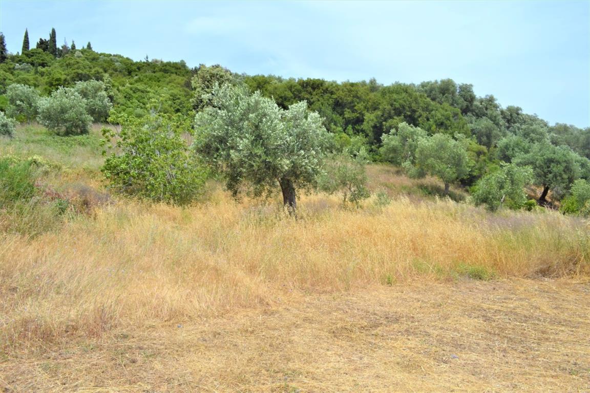 Terreno en Corfú, Grecia, 12 000 m² - imagen 6