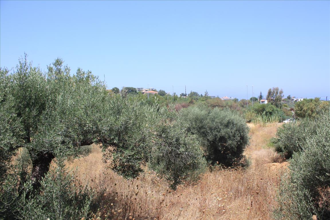 Land in Heraklion, Greece, 6 340 m² - picture 6