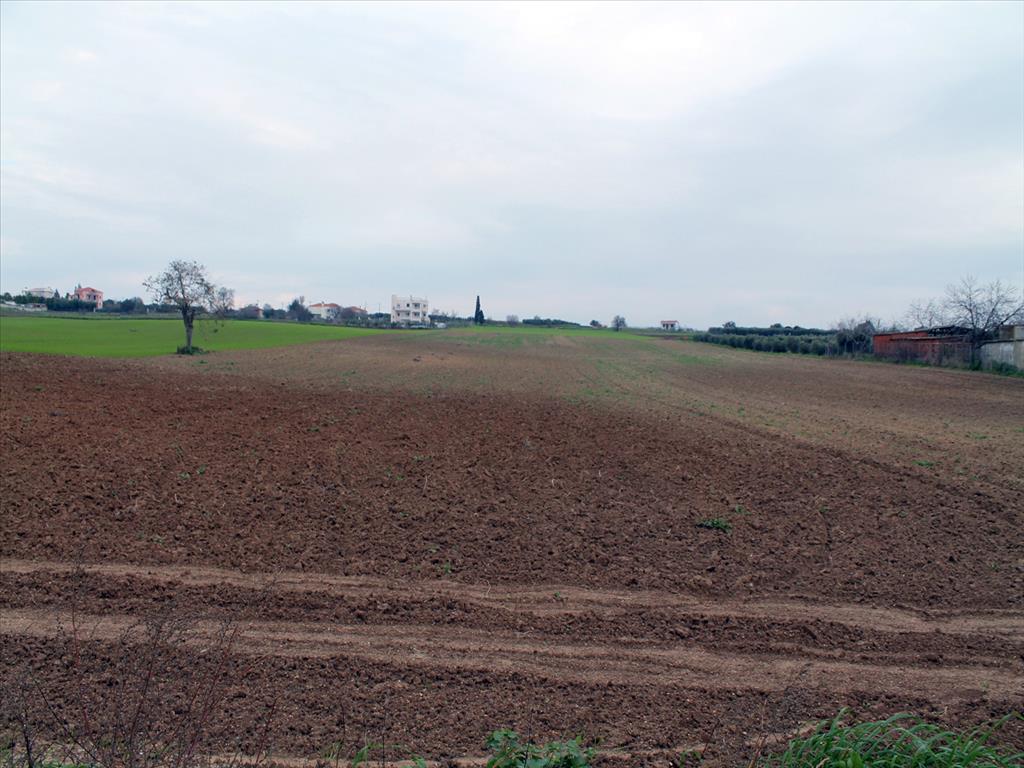 Grundstück in Thessaloniki, Griechenland, 100 856 m² - Foto 6