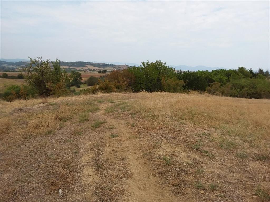 Grundstück in Chalkidiki, Griechenland, 13 000 m² - Foto 6