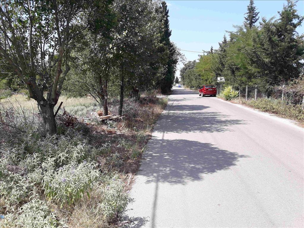 Terreno a Salonicco, Grecia, 5 908 m2 - foto 6