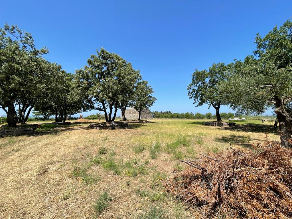 Land in Corfu, Greece, 26 159 m² - picture 6