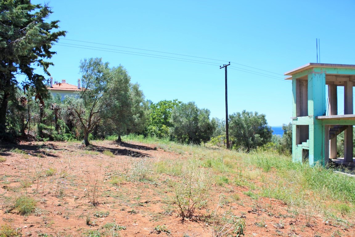 Land in Sithonia, Greece, 4 000 m² - picture 6