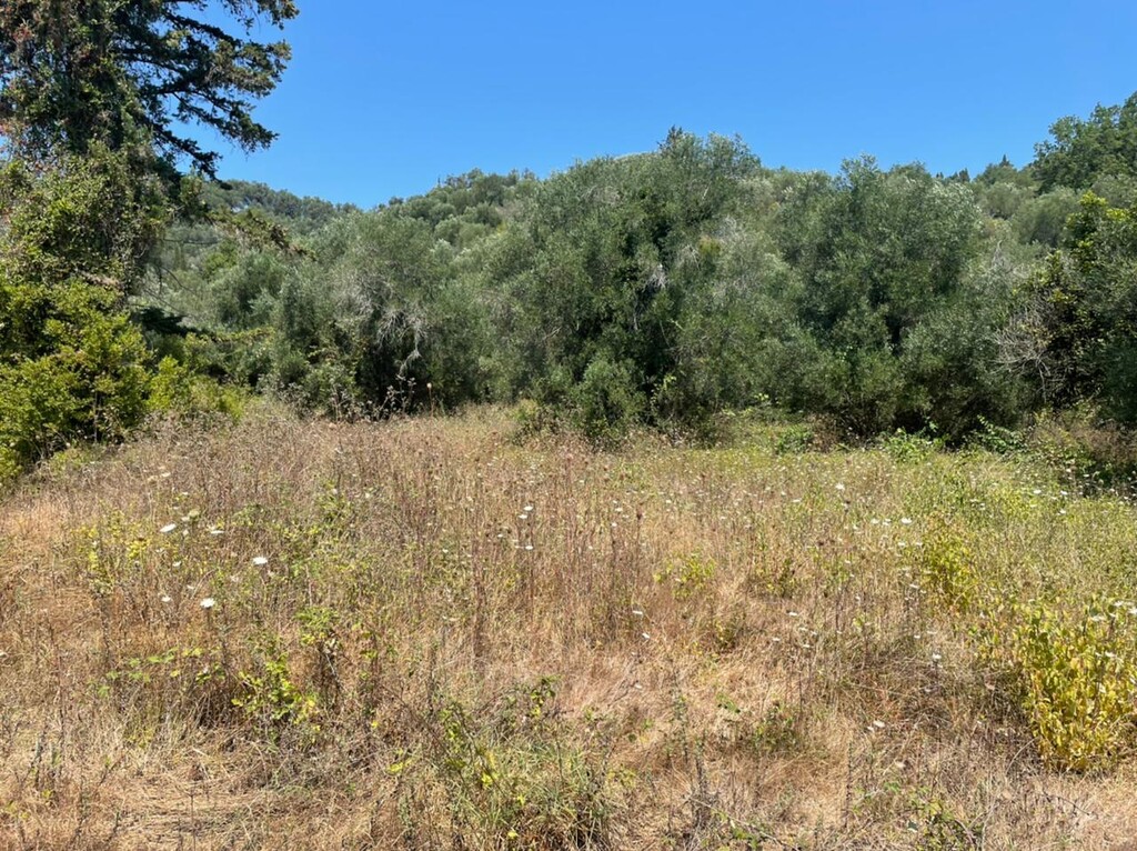 Grundstück in Korfu, Griechenland, 11 450 m² - Foto 6