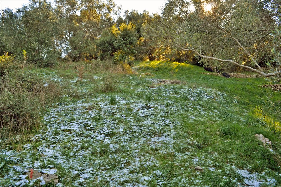 Terreno a Corfù, Grecia, 7 000 m2 - foto 6