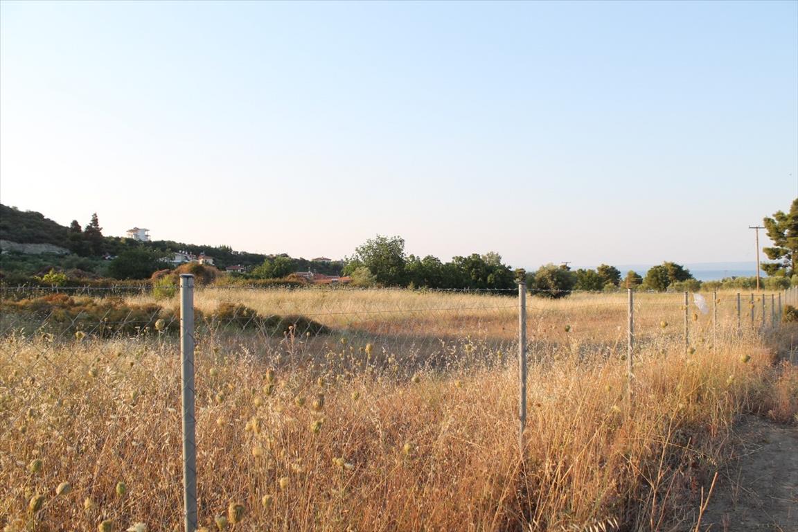Land in Kassandra, Greece, 12 000 m² - picture 6