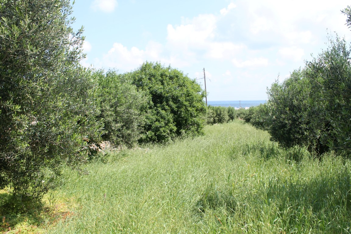 Terreno en Heraclión, Grecia, 6 890 m² - imagen 6