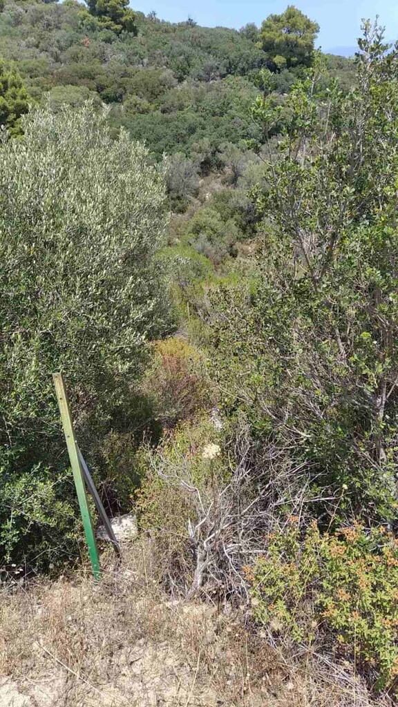 Terrain en Sithonie, Grèce, 11 688 m² - image 6