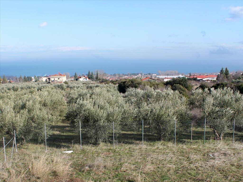 House in Olympiaki Akti, Greece, 416 m² - picture 6