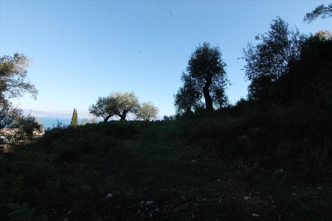 Land in Corfu, Greece, 9 000 m² - picture 6