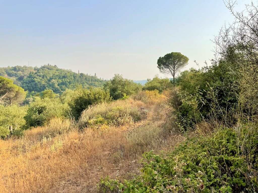 Grundstück in Korfu, Griechenland, 21 000 m² - Foto 6