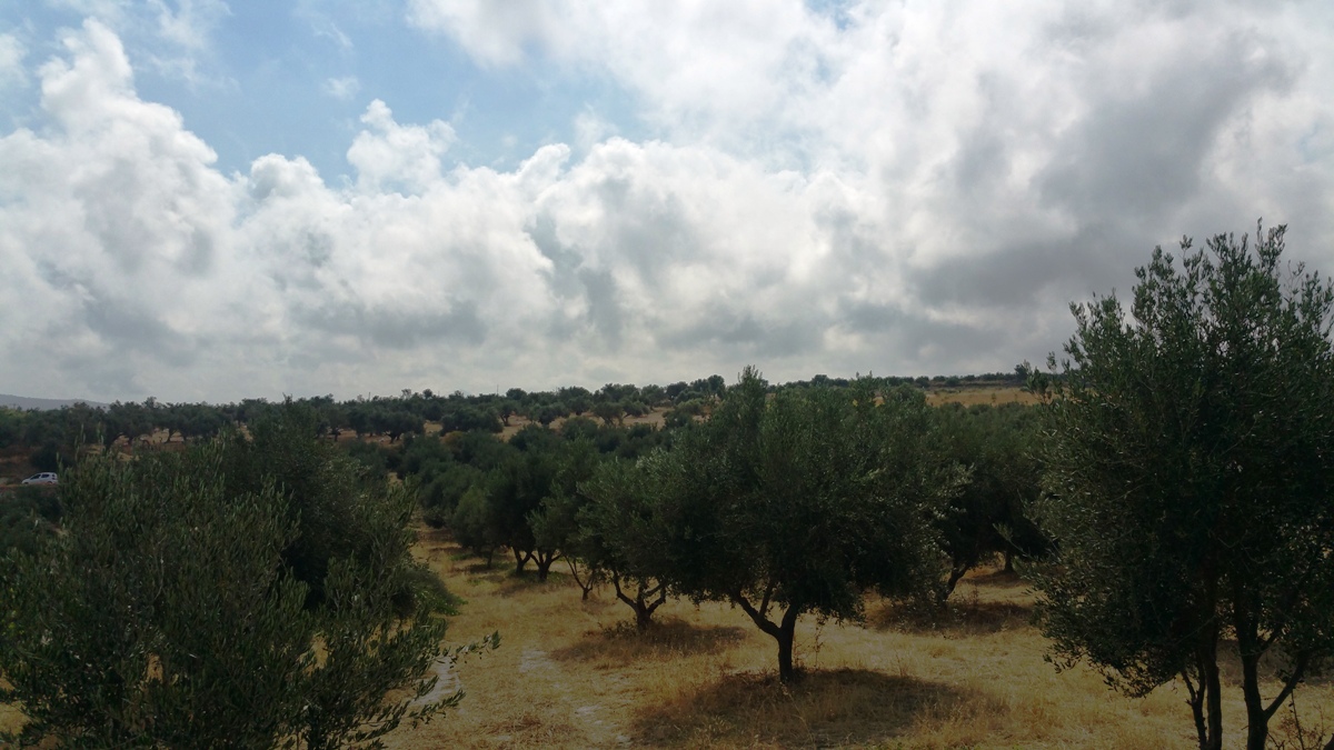 Terreno a Heraklion, Grecia, 20 000 m2 - foto 6