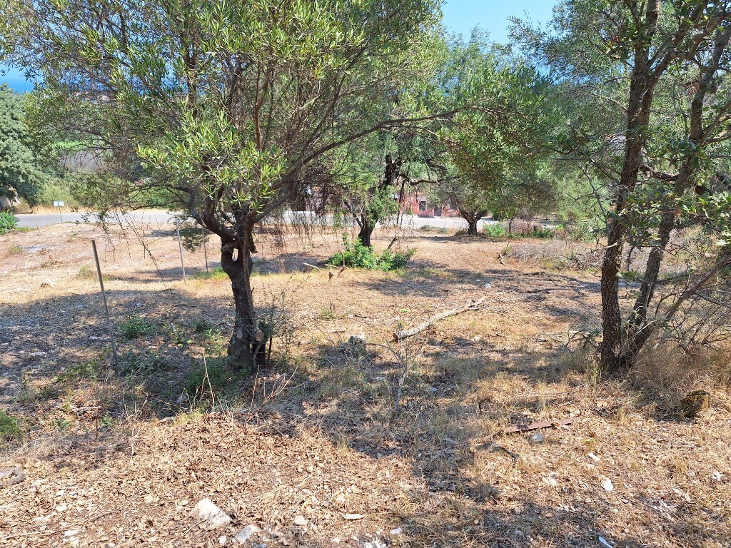 Land in Corfu, Greece, 2 776 m² - picture 6