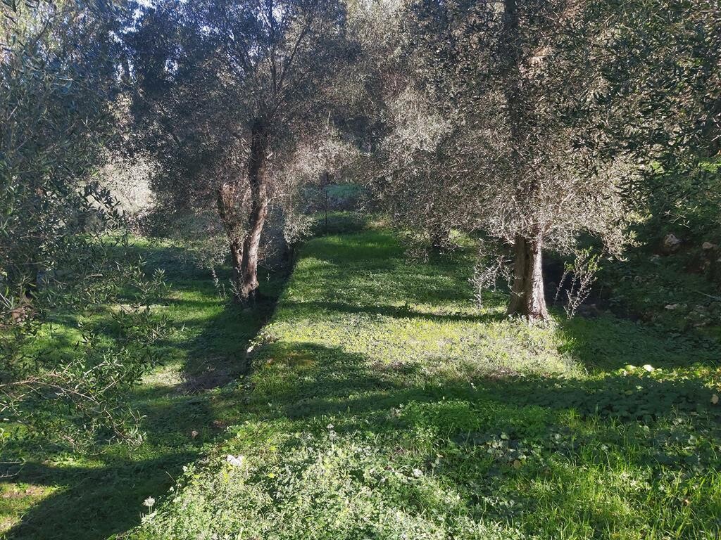 Terreno en Corfú, Grecia, 7 000 m² - imagen 6