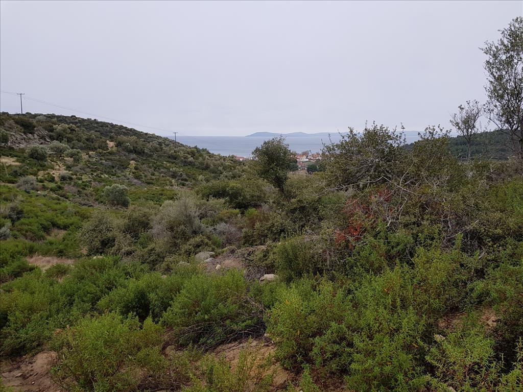 Grundstück in Sithonia, Griechenland, 12 500 m² - Foto 6