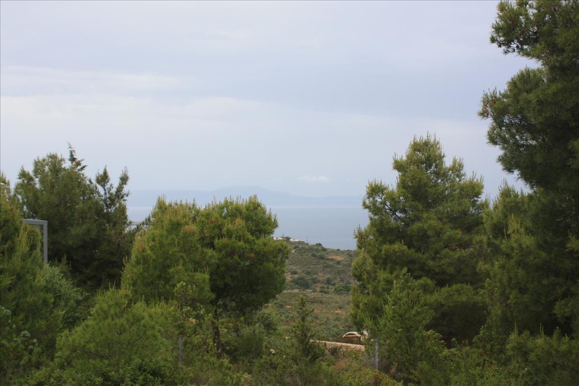 Terreno en Heraclión, Grecia, 5 900 m² - imagen 6