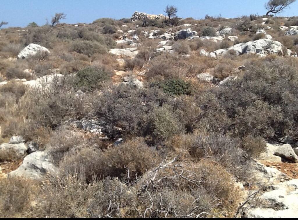 Terrain à Héraklion, Grèce, 10 884 m² - image 6