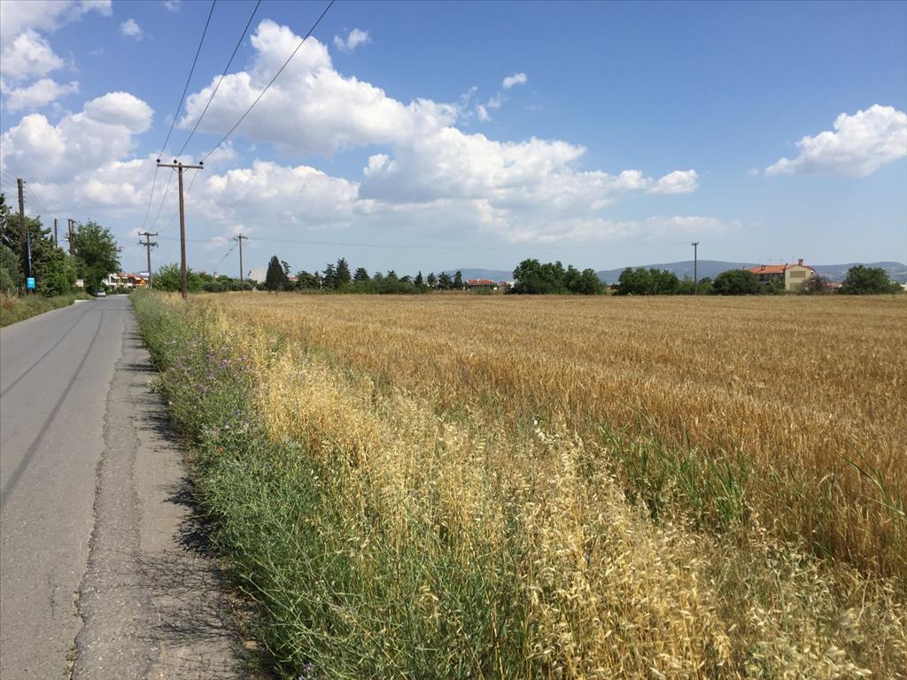 Grundstück in Thessaloniki, Griechenland, 16 000 m² - Foto 6