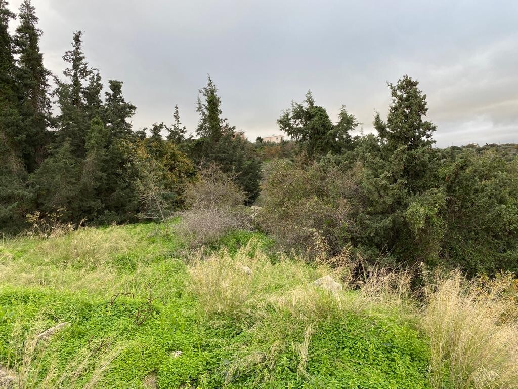 Grundstück in Heraklion, Griechenland, 8 000 m² - Foto 6