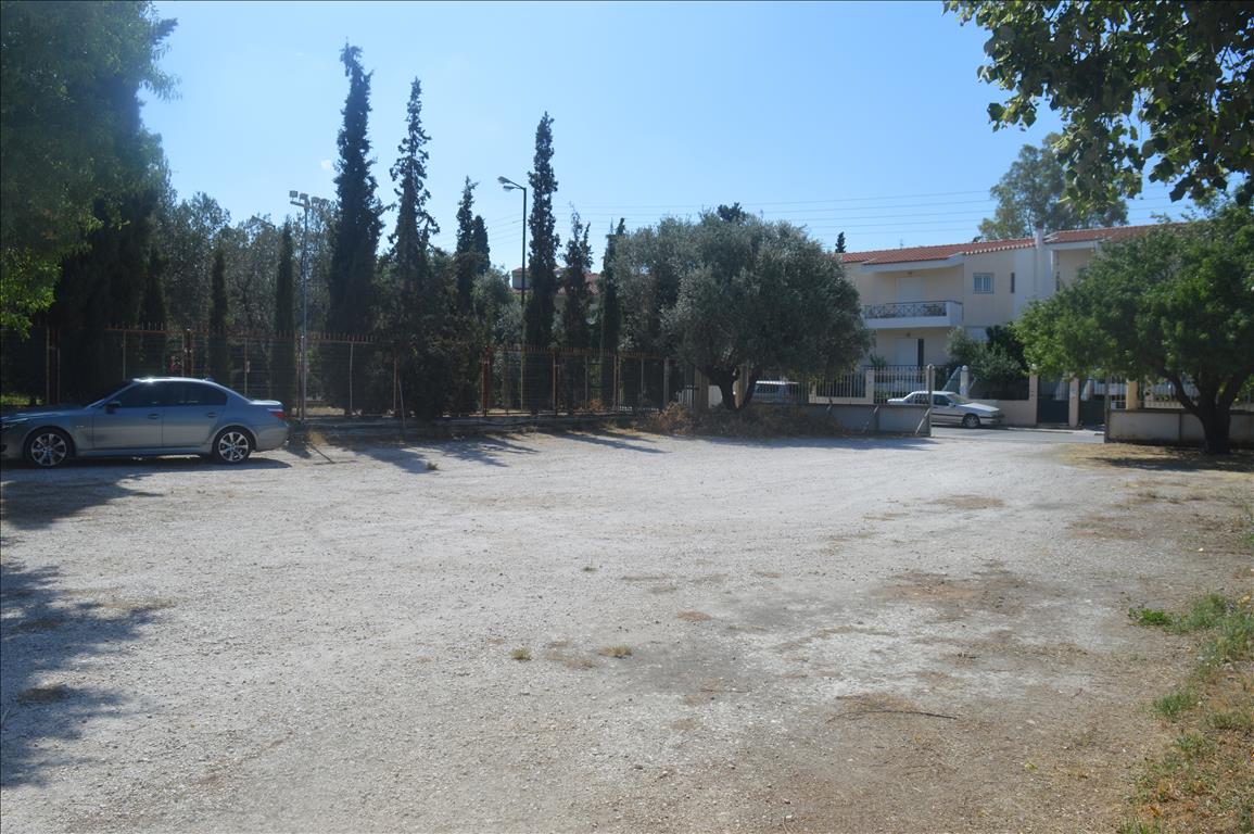 House in Athens, Greece, 320 m² - picture 6