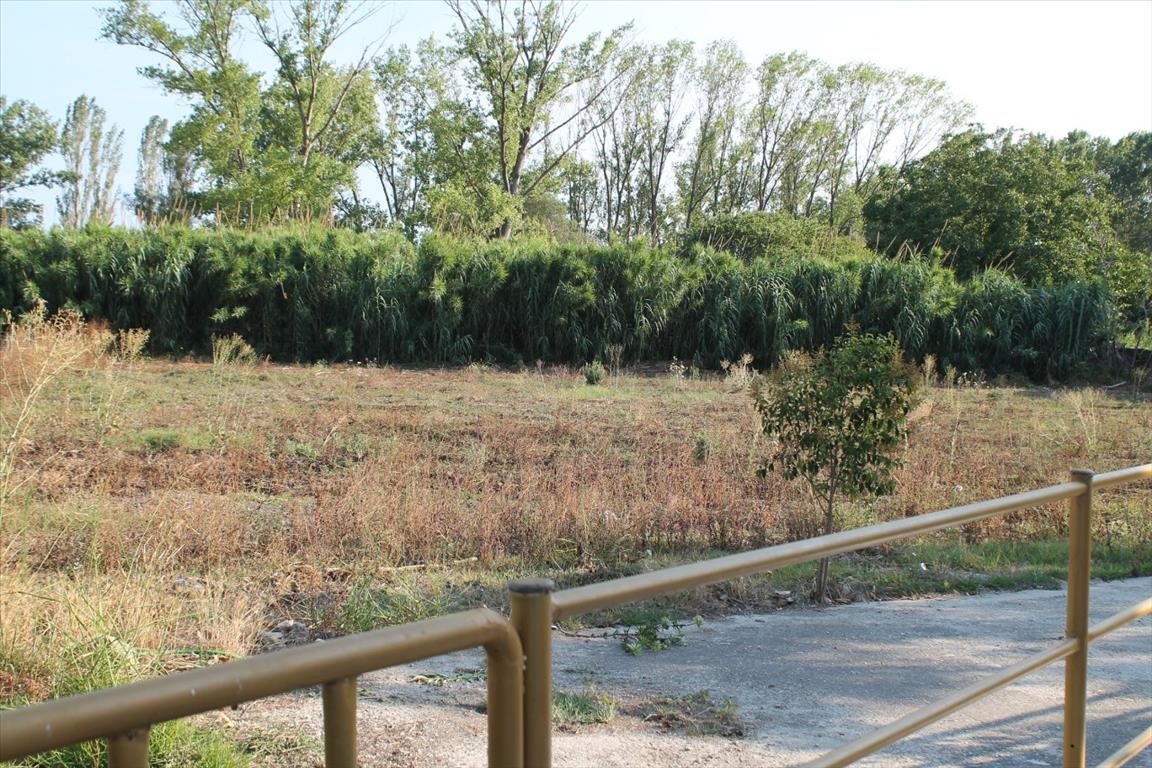 Land in Kassandra, Greece, 2 500 m² - picture 6
