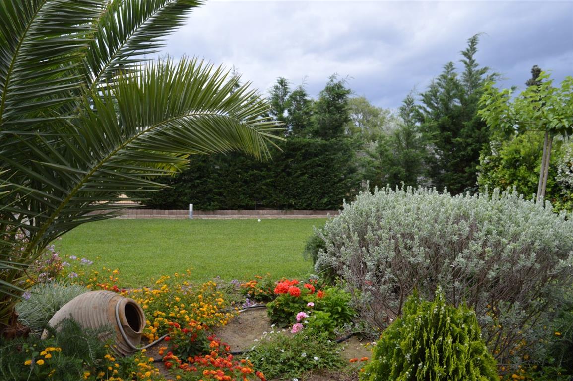 House in Loutraki, Greece, 376 m² - picture 6