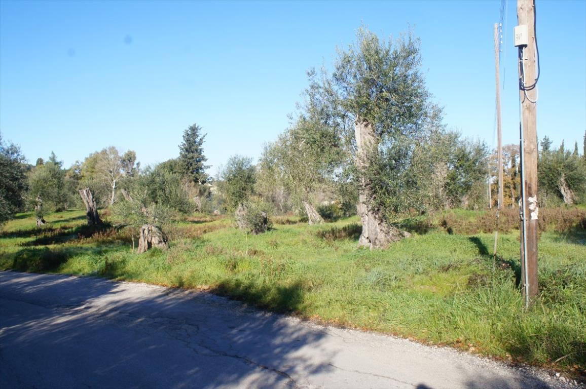 Land in Corfu, Greece, 4 000 m² - picture 6