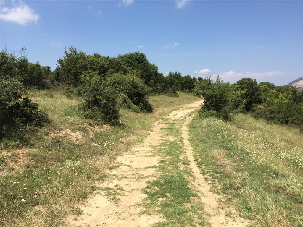 Terreno a Salonicco, Grecia, 12 100 m2 - foto 6