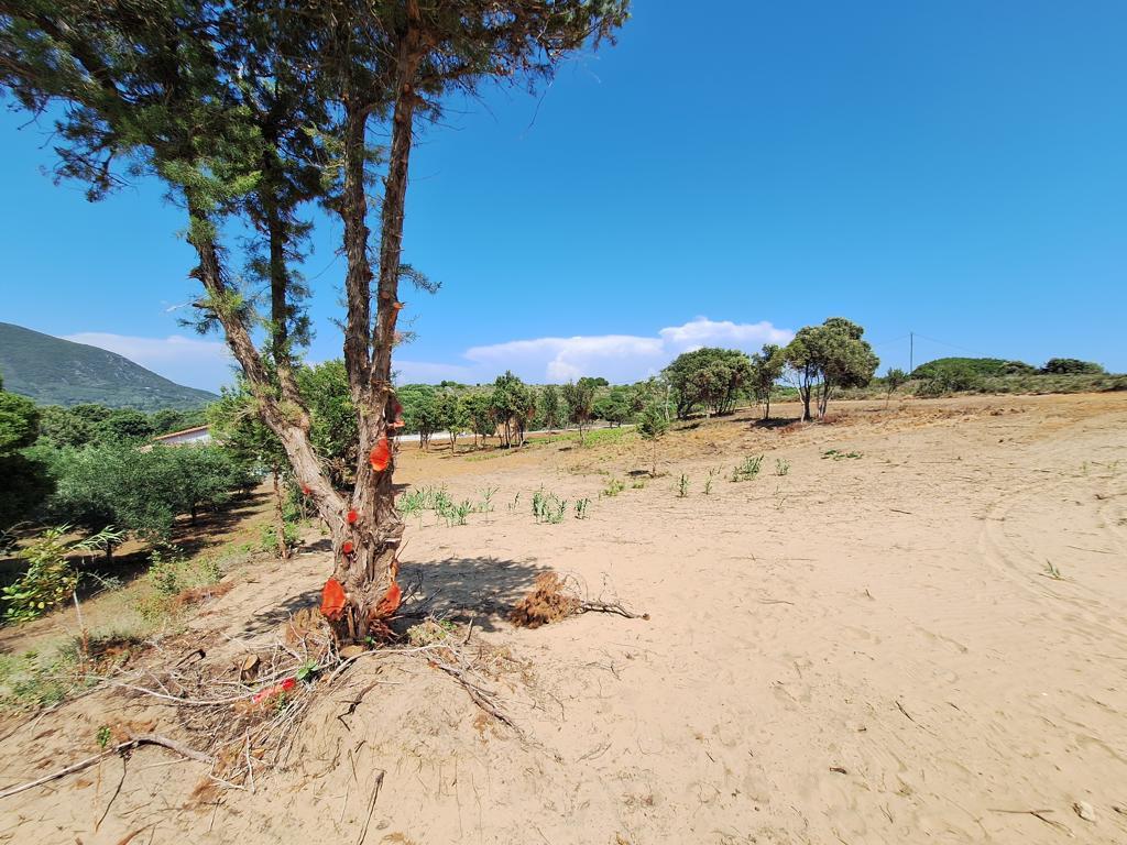 Grundstück in Korfu, Griechenland, 17 439 m² - Foto 6