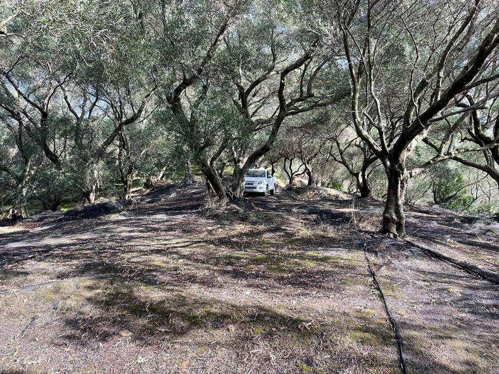 Terreno a Corfù, Grecia, 12 000 m2 - foto 6
